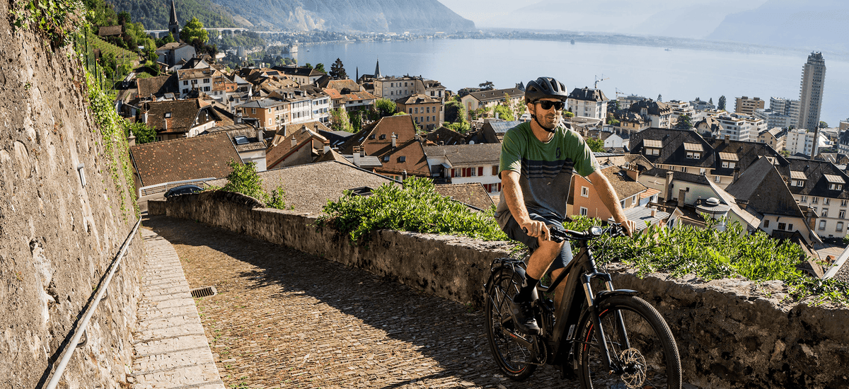 Trekking– SAVA Bicycles